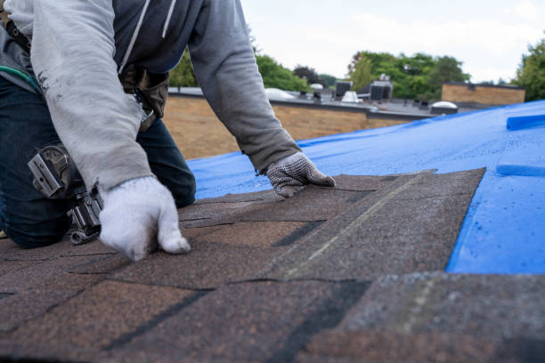Professional Roofing Contractor in Belleville, WI