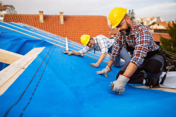 Best Metal Roofing Contractor  in Belleville, WI