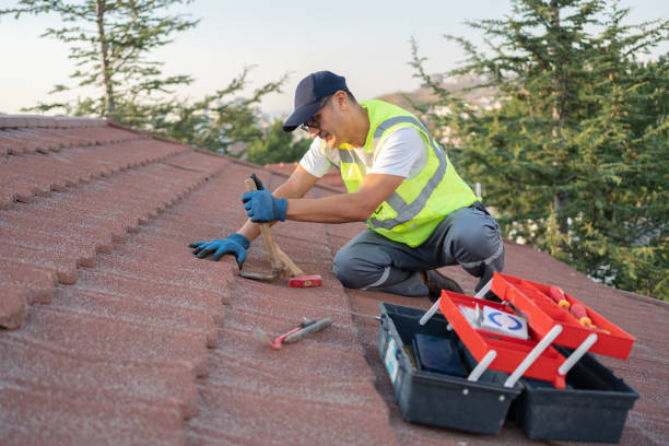 Best Flat Roof Repair Services  in Belleville, WI
